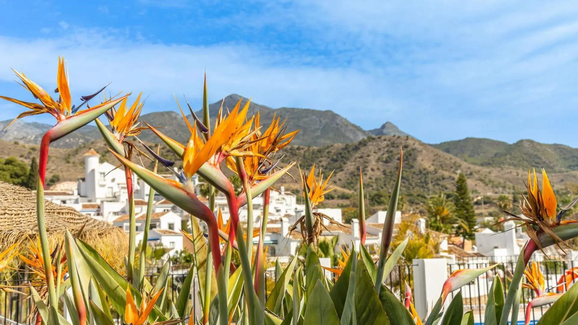 Las Palmas 17B Oasis Properties Nerja 0*,  Spain