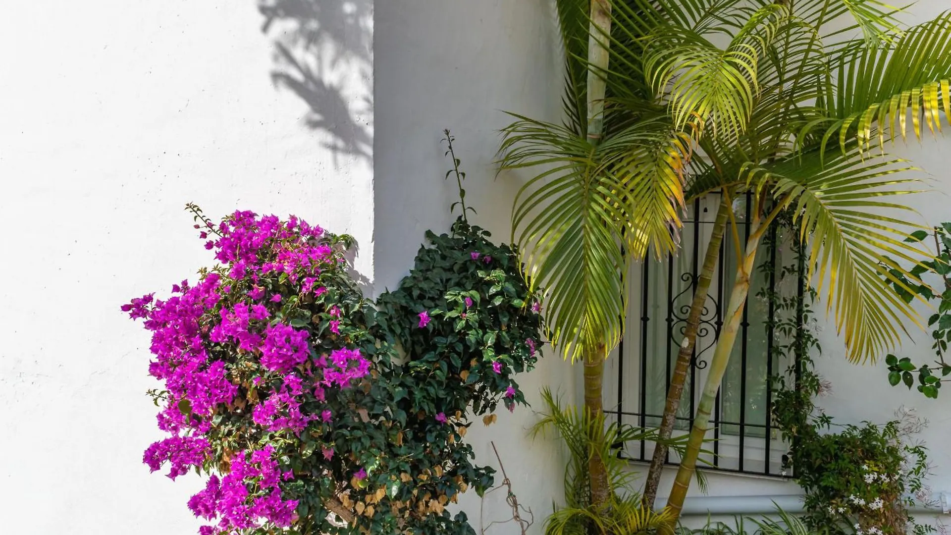Las Palmas 17B Oasis Properties Нерха